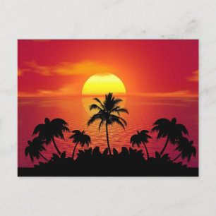 Tropische Sonnenuntergangs-Palmen Silhouette Stran Postkarte
