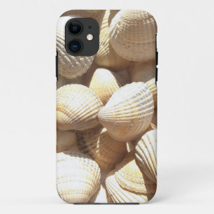 Tropische sonnige exotische Muscheln title_seo2