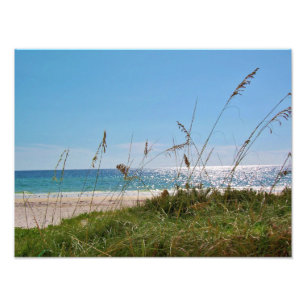 Tropische Strand-und Seehafer Fotodruck
