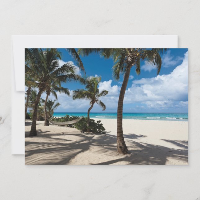 Tropische Strände | Anguilla Beach, Palm Tree Dankeskarte (Vorderseite)