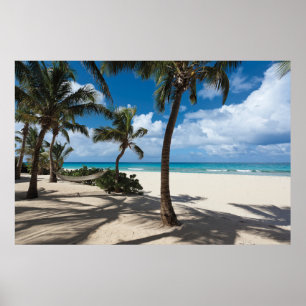 Tropische Strände Anguilla Beach, Palm Tree Poster