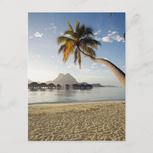 Tropische Strände | Beach Huts, Bora Bora Postkarte (Vorderseite)