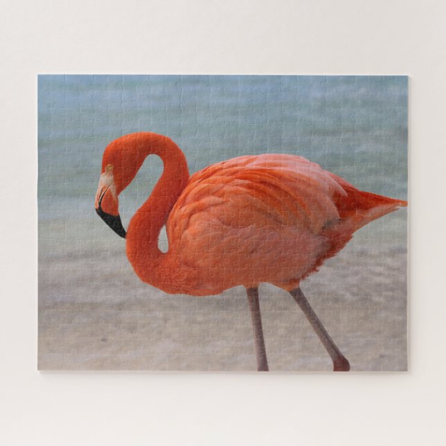 Tropische Strände | Caribbean Flamingo, Aruba (Horizontal)