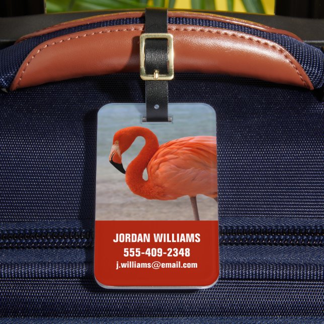Tropische Strände | Caribbean Flamingo, Aruba Gepäckanhänger (Vorderseite Insitu 2)