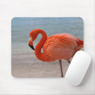 Tropische Strände Caribbean Flamingo, Aruba Mousepad