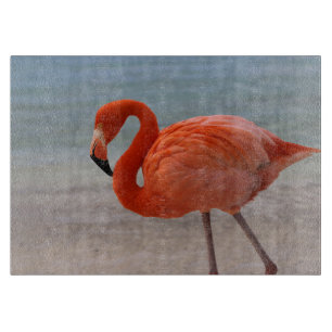 Tropische Strände   Caribbean Flamingo, Aruba Schneidebrett