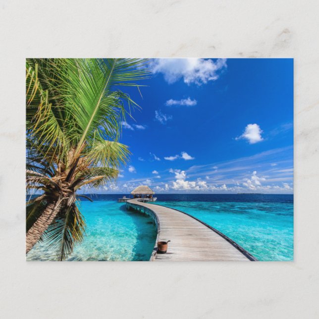 Tropische Strände | Dusit Thani Maldives Postkarte (Vorderseite)