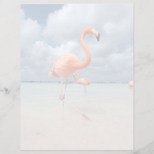 Tropische Strände Flamingos Beach, Aruba