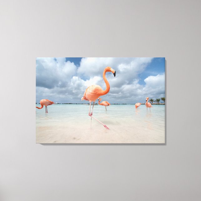 Tropische Strände | Flamingos Beach, Aruba Leinwanddruck (Vorderseite)