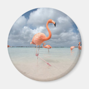 Tropische Strände Flamingos Beach, Aruba Magnet