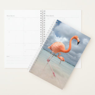 Tropische Strände Flamingos Beach, Aruba Planer