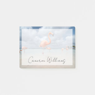 Tropische Strände   Flamingos Beach, Aruba Post-it Klebezettel
