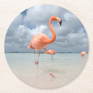 Tropische Strände   Flamingos Beach, Aruba Runder Pappuntersetzer