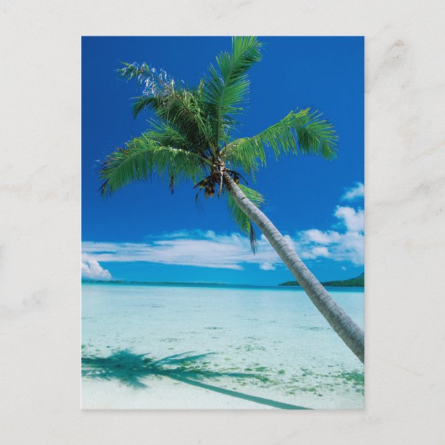 Tropische Strände | Motu Tofari Beach, Bora Bora Postkarte (Vorderseite)