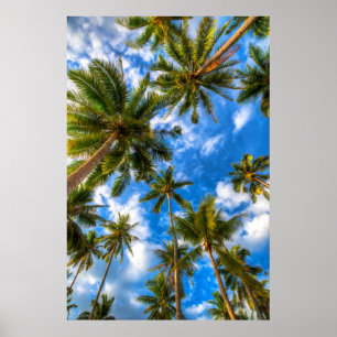 Tropische Strände Palmen auf blauem Himmel Poster