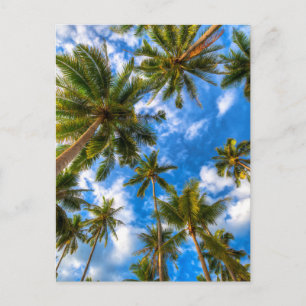 Tropische Strände   Palmen auf blauem Himmel Postkarte