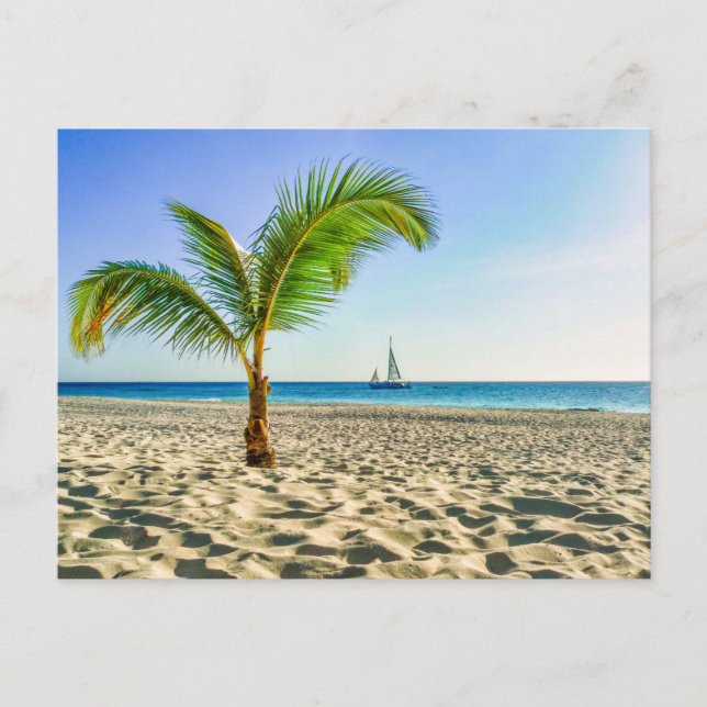Tropische Strände | Segelboot, Palm Tree, Aruba Postkarte (Vorderseite)