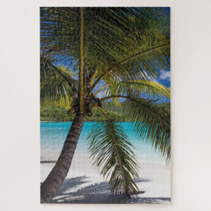 Tropische Strandpalme