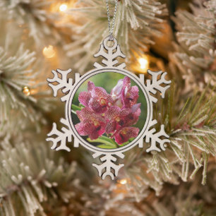 Tropische Vanda-Orchideen-Gruppe Schneeflocken Zinn-Ornament