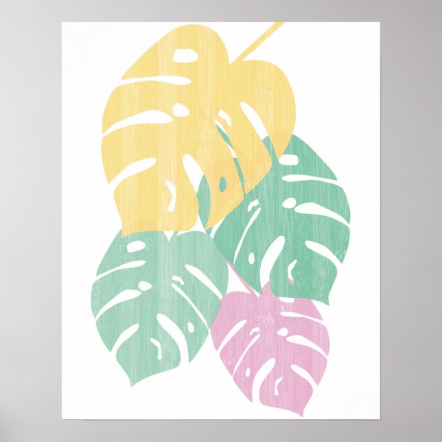Tropische Vegetation - Monstera Blätter Poster (Vorne)