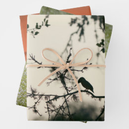 Tropische Vögel Geschenkpapier Set