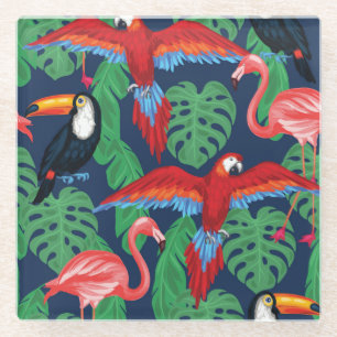 Tropische Vögel in den hellen Farben Glasuntersetzer