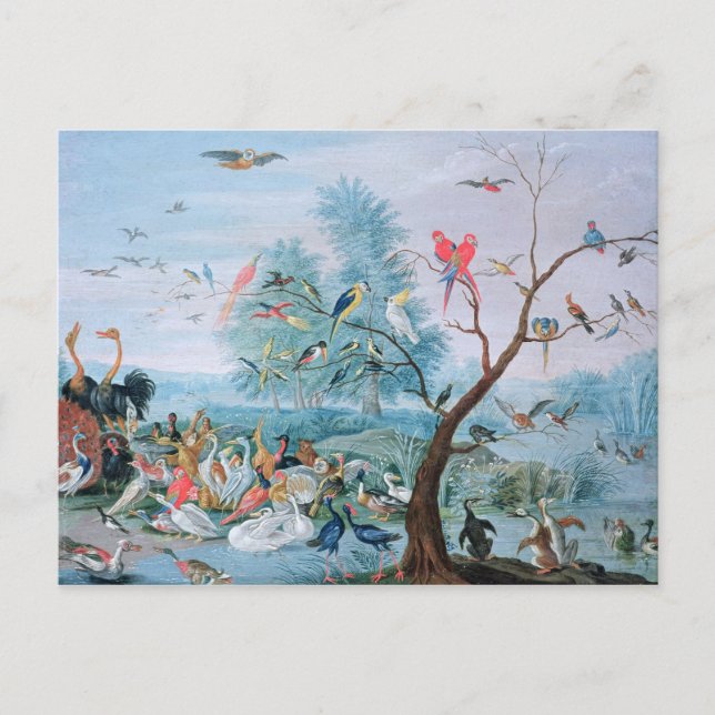 Tropische Vögel in einer Landschaft Postkarte (Vorderseite)