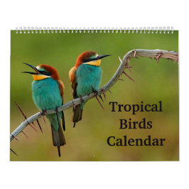 Tropische Vögel Kalender