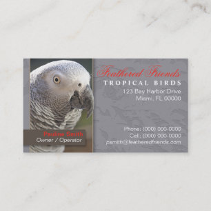 Tropische Vogel-Visitenkarte Visitenkarte