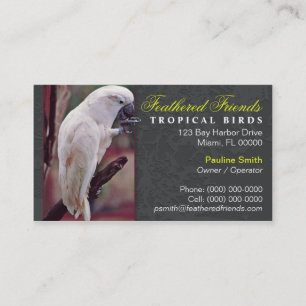 Tropische Vogel-Visitenkarte Visitenkarte