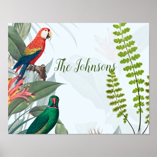 Tropische Vogelgewächse Poster (Vorne)