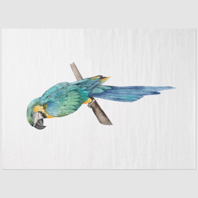 Tropische Vogelserie: Blue Macaw Seidenpapier (Vorderseite)