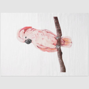 Tropische Vogelserie: Cockatoo Seidenpapier