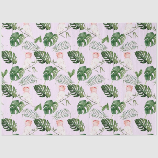 Tropische Vogelserie: Großes Mitchells Design 5 Seidenpapier (Vorderseite)