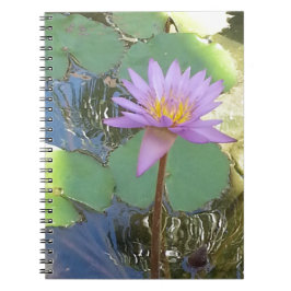 Tropische Wasserlilie Blume Notizblock