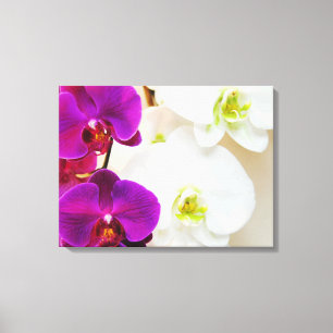 Tropische weiße Orchideen Nummer drei Leinwanddruck