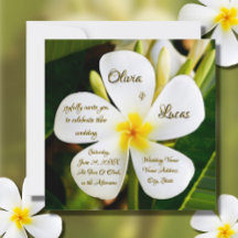 Tropische weiße Plumeria - Neuanfang - Hochzeit