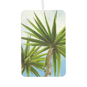 Tropische Yucca-Palmenblätter Malerei Effekt Foto Autolufterfrischer