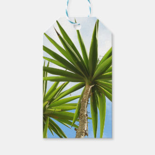 Tropische Yucca-Palmenblätter Malerei Effekt Foto Geschenkanhänger