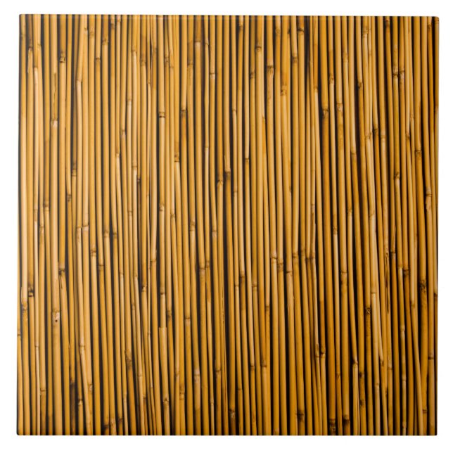 Tropischer Bambushintergrund-tropischer Fliese (Vorderseite)