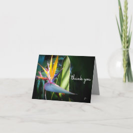 Tropischer Bird of Paradise Nature Foto Vielen Dan Dankeskarte