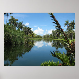Tropischer botanischer Garten Fairchild Poster