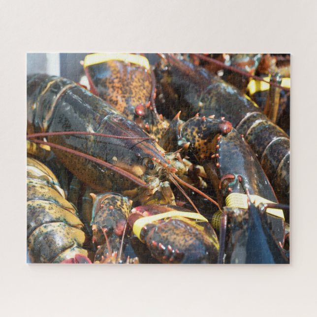 Tropischer Fisch (Horizontal)