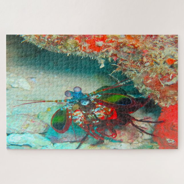 Tropischer Fisch (Horizontal)