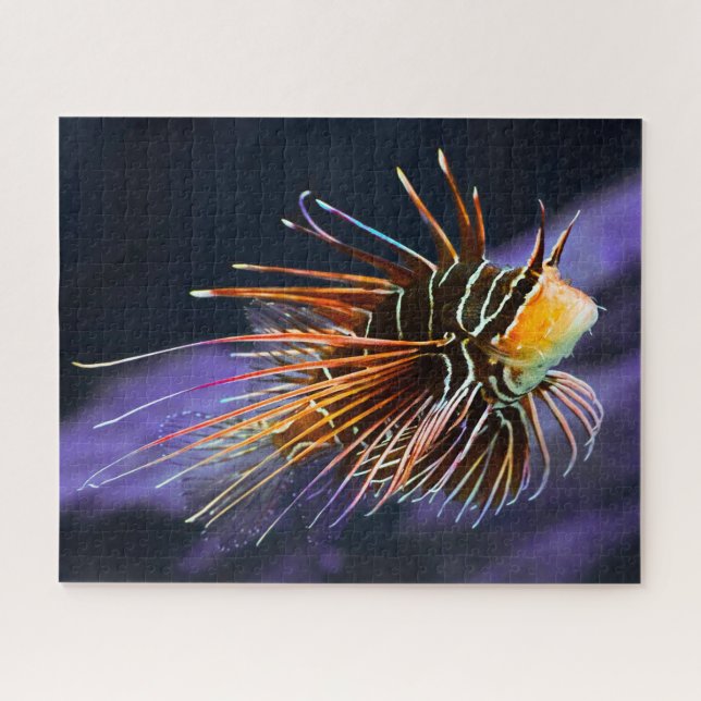 Tropischer Fisch (Horizontal)