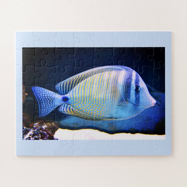 Tropischer Fisch (Horizontal)