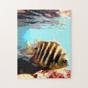 Tropischer Fisch