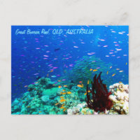 Tropischer Fisch am Great Barrier Reef