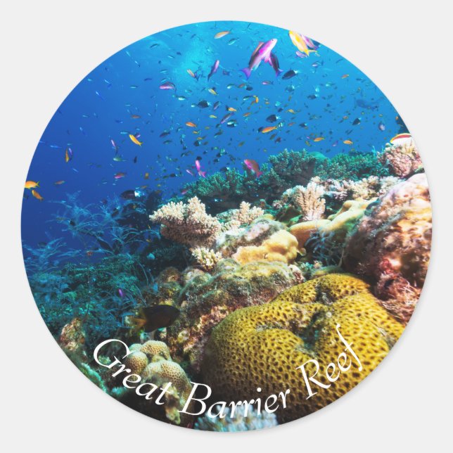 Tropischer Fisch am Great Barrier Reef Runder Aufkleber (Vorderseite)