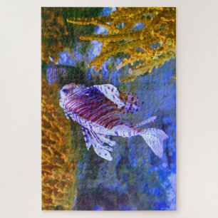 Tropischer Fisch in einem Aquarium.